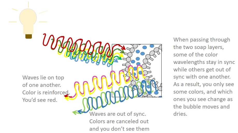 A diagram of how light interacts with a bubble surface to make colors of bubbles change.