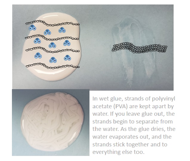 An image showing the physical properties of glue. 