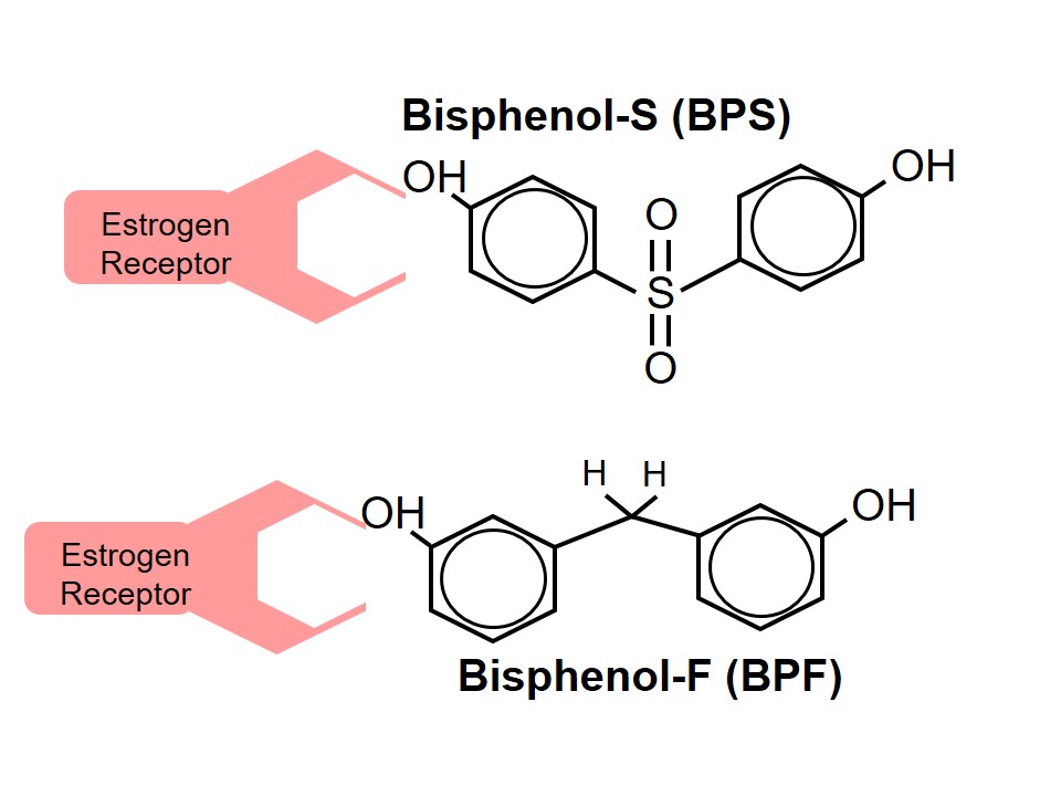 Ring structures of BPS and BPF which are similar to BPA.