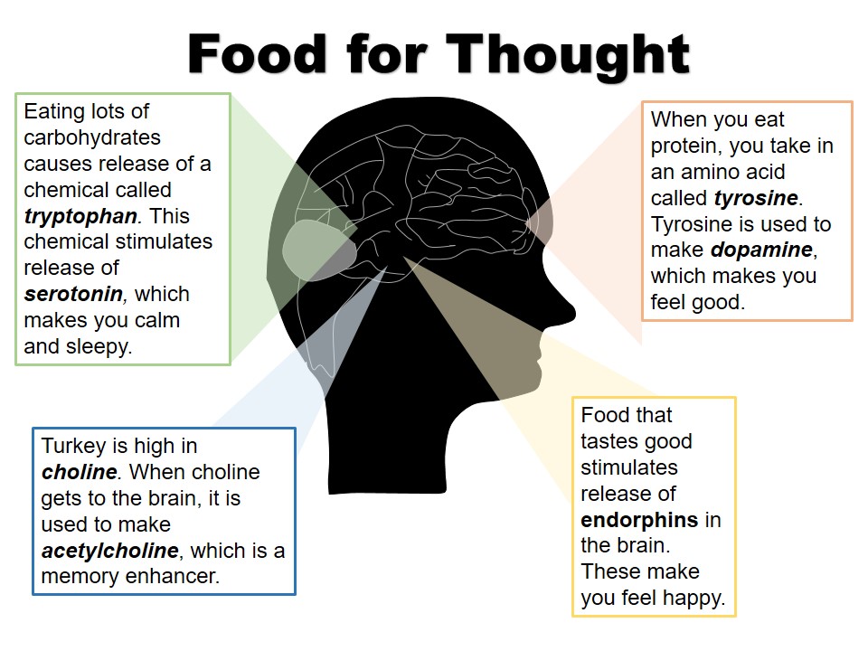 Diagram of the many ways Thanksgiving food affects your brain.