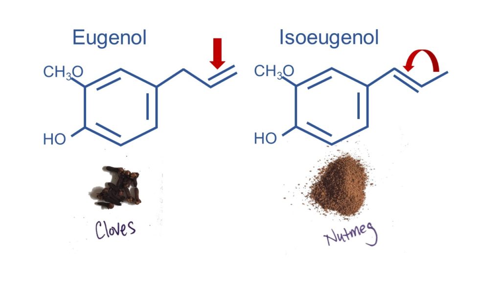 Chemical structures of eugenol and isoeugenol, which make the flavors of cloves and nutmeg, respectively.