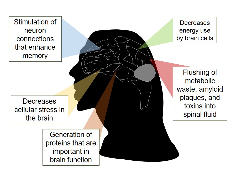 Picture of the many ways that sleep can help your brain. Sleep deprivation inhibits many if not all of these. 