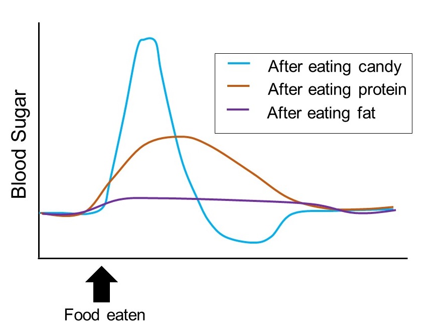 A graph of how blood sugar changes in response to eating candy versus protein versus fat. 