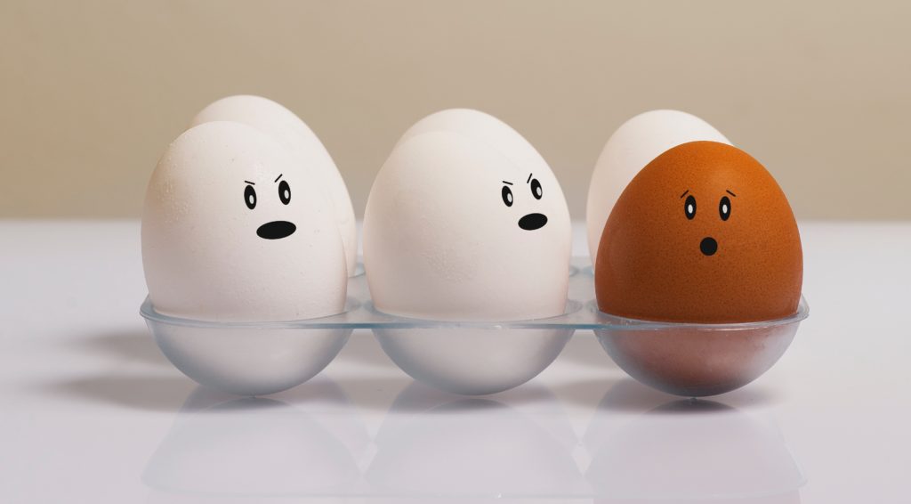 Picture of brown and white eggs. It is a food myth that brown eggs are more nutritious than white eggs.