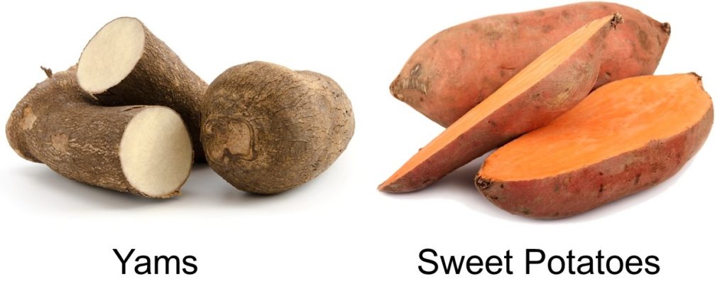 A picture of yams and sweet potatoes, two common Thanksgiving foods.