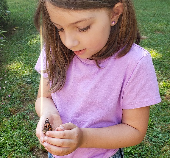 Child holding a butterfly.